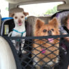 Safety Gate Anti-collision Mesh Pet Accessories For Dogs