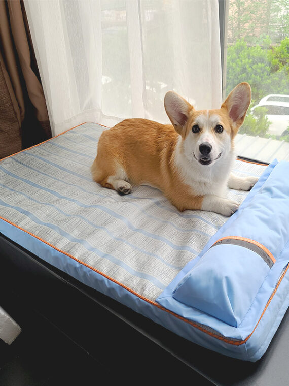 DogMEGA Cooling Bed with Pillow for Small, Medium, Large Dogs