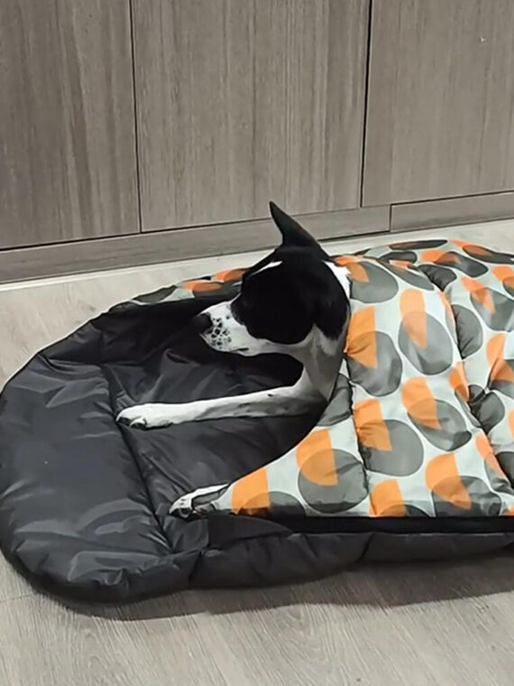 Waterproof Dog Sleeping Bag | Mat Cushion For Camping Travel