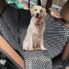 Car Seat Cover Mats Hammock Protector With Safety Belt