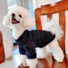 Knit Sweater Autumn Winter Pet Clothing LOVE YOU