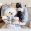 Winter Clothes For Dogs – Cute Jacket With Daisy Pattern