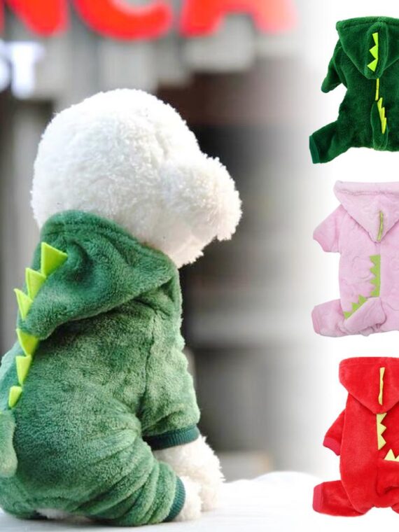 Dinosaur costume for dogs – A little bit of fun and cute