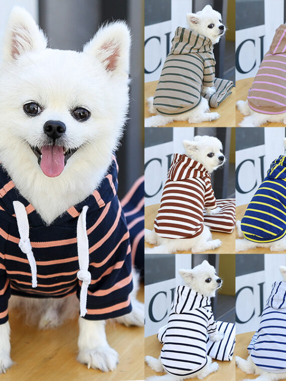 Fleece Hoodie – How to keep your dog warm in the winter?