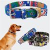 Reflective Dog Collar and Lead Set