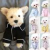Melt Hearts With Cute Pajamas For Dogs