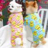Yellow Duck Pattern Jumpsuits For Active Dogs