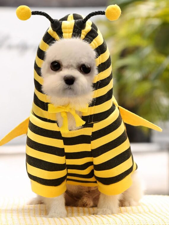 Cosplays Your Dog Into A Lovely Golden Bee In Just A Few Minutes