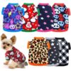 Unique Sweaters For Dogs - The Popular Clothes This Winter