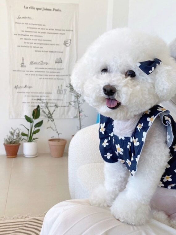 Cute Floral Dress For Dogs - What To Wear For This Summer Coming?