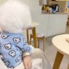 Wool Sweaters For Dogs To Move Comfortably