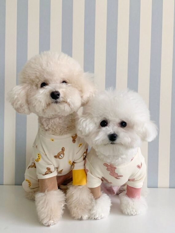 Winter Jumpsuit For Dogs To Wear At Home Or For A Walk
