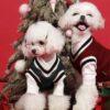 Why This Preppy-Style Waistcoat Is Suitable For Your Dog?