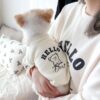 Personalized Sweater - Winter Outfit Suggestions For Dogs