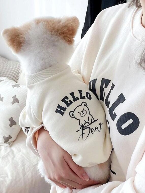 Personalized Sweater - Winter Outfit Suggestions For Dogs