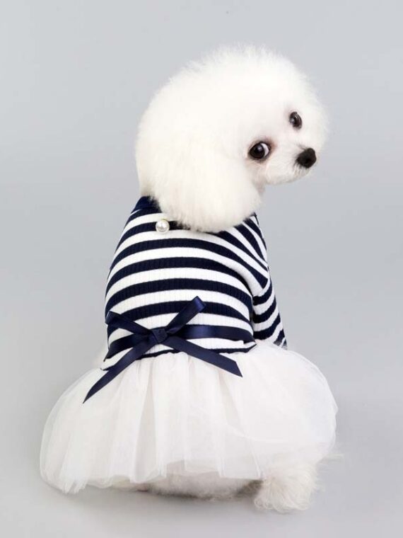 Fashionable Princess Dress For Stylish Dogs
