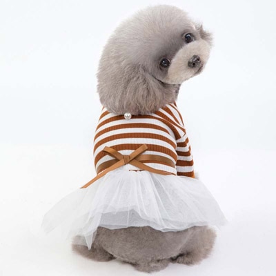 Fashionable Princess Dress For Stylish Dogs