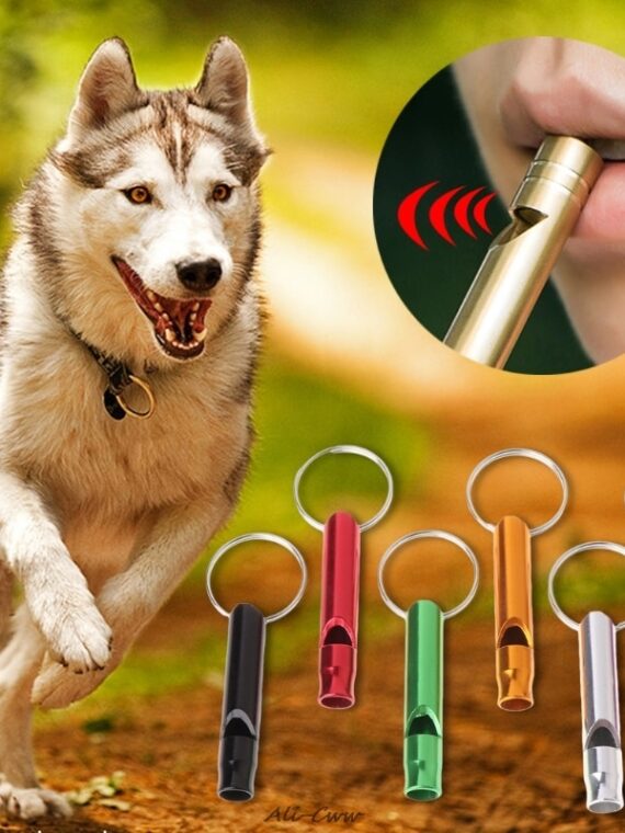 Dog Training Whistle - Pet Accessories