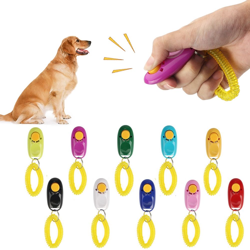 Make Your Dog Training Simpler And Easier By Using The Clicker
