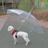 Convenient Transparent Rain Umbrella With A Leash For Dogs