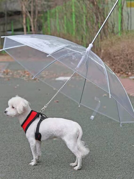 Convenient Transparent Rain Umbrella With A Leash For Dogs