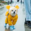 Funny Dog Raincoat - Cosplay In Many Styles