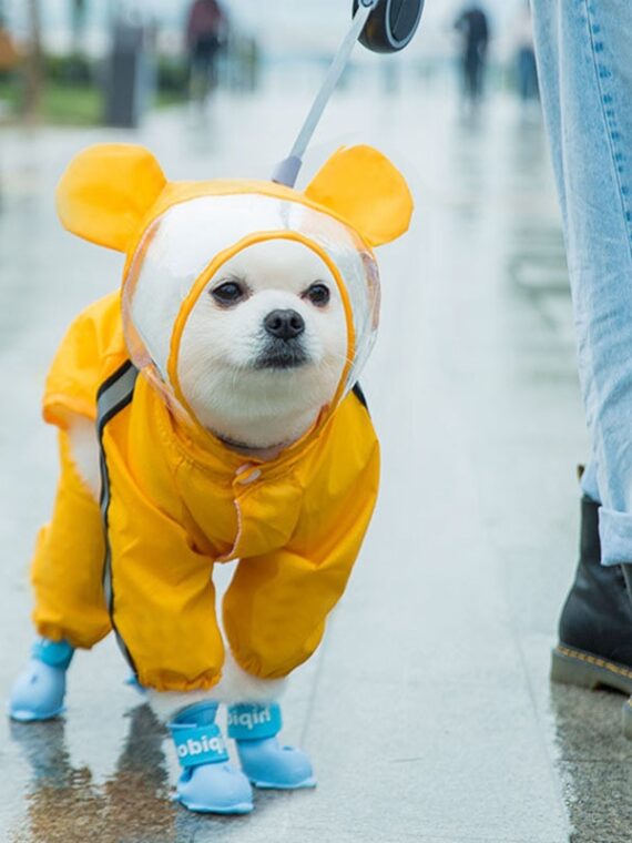 Funny Dog Raincoat - Cosplay In Many Styles