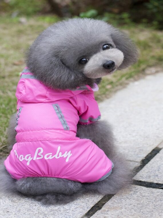 Full Body Raincoat Size S M L XL XXL For Small And Medium Dogs