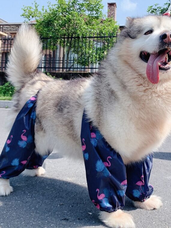 Unique Four-Legged Rain Pants For Dog
