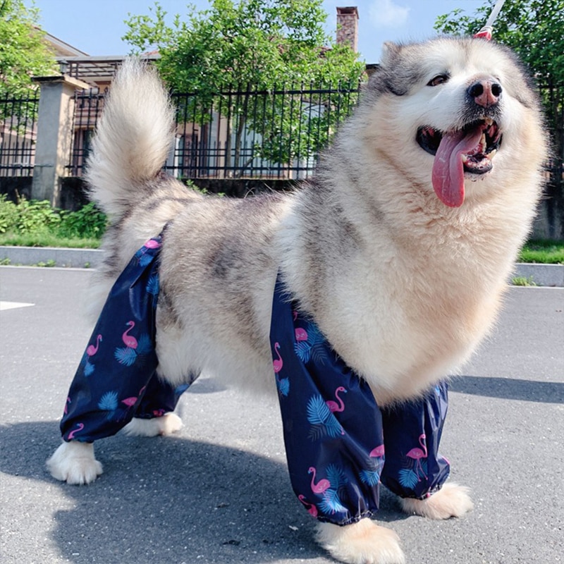 Unique Four-Legged Rain Pants For Dog