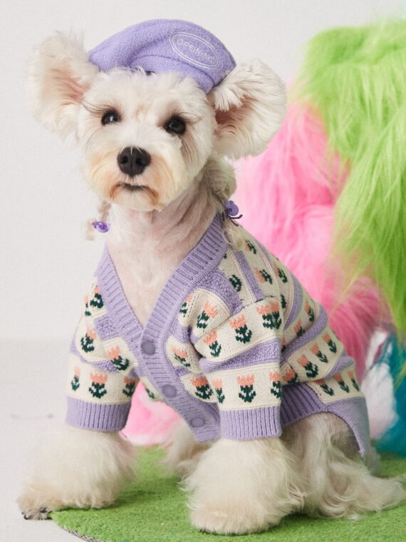 Beret With Adjustable Straps For Dogs
