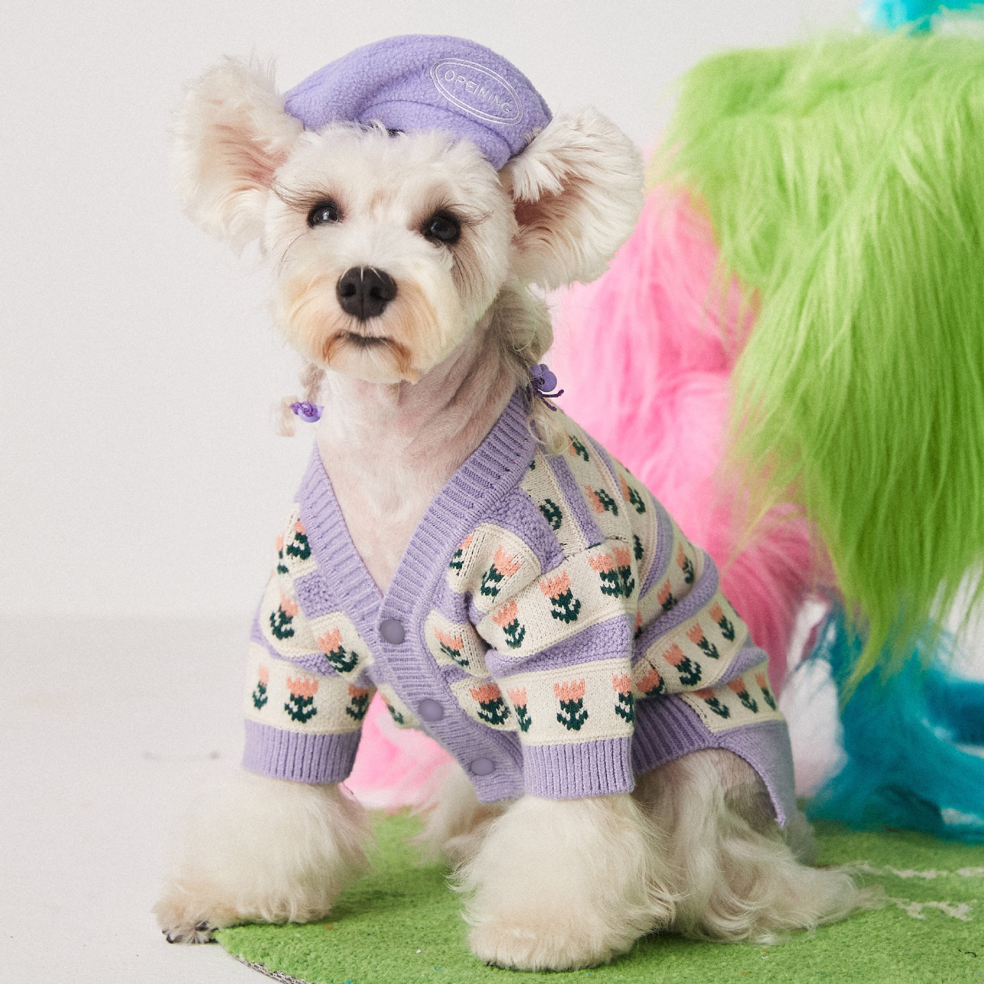 Beret With Adjustable Straps For Dogs