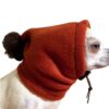 Winter Accessories - Warm Hats For Small And Medium-sized Dogs