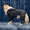 Cool Black Raincoat - Prestigious Raincoat In Domega
