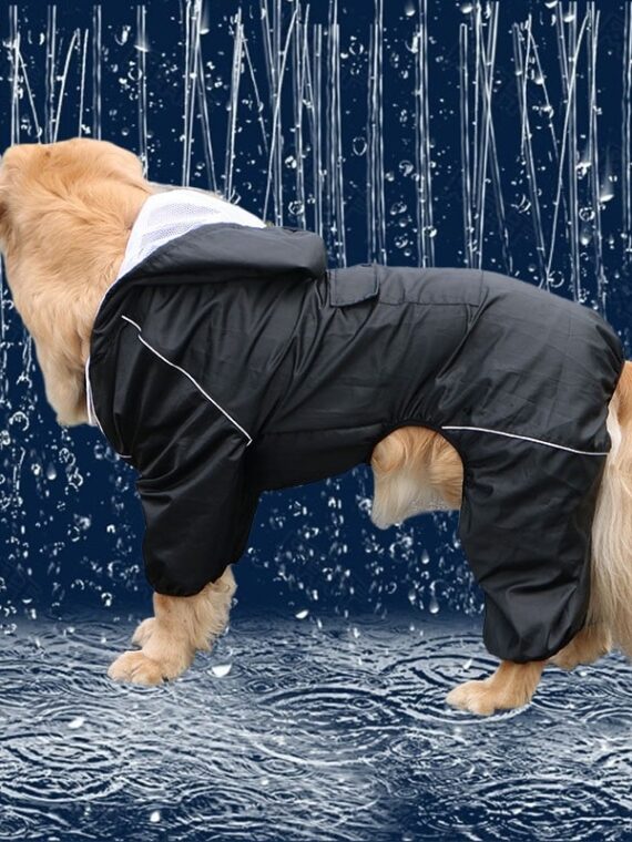 Cool Black Raincoat - Prestigious Raincoat In Domega