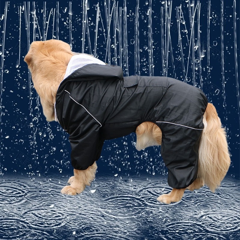 Cool Black Raincoat – Prestigious Raincoat In Domega