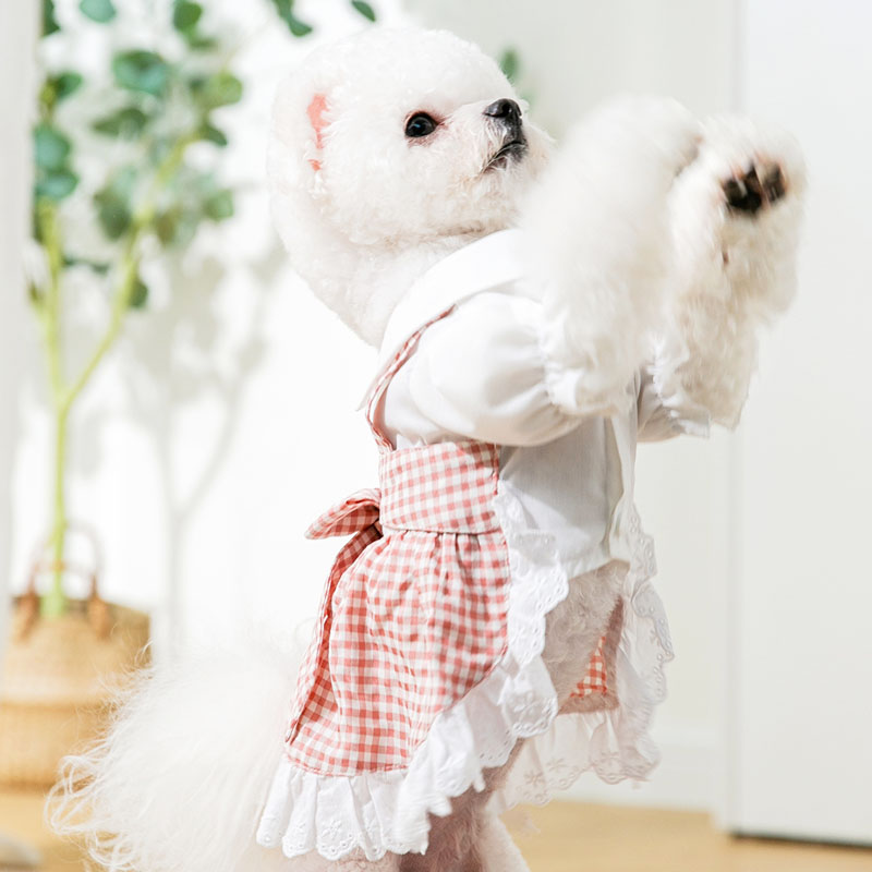 Lady-Style Dress For Graceful Dogs
