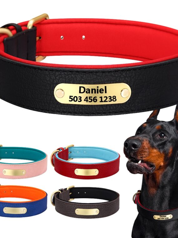 Dog Leather Collar - Many Colors To Choose From