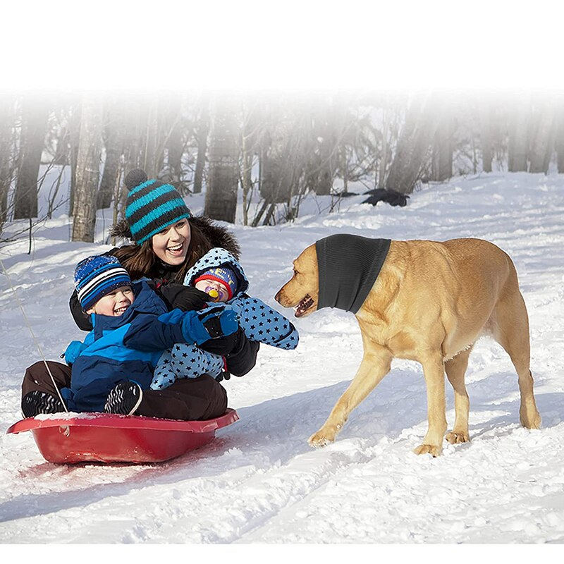 Earmuffs - Reduce Noise And Keep Dogs Warm In Winter