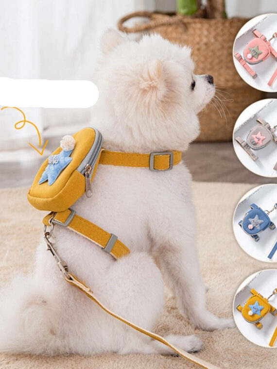 Cute Walking Backpack For Dogs