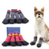 How To Keep Dogs Warm In Winter? Use DogMega's Socks