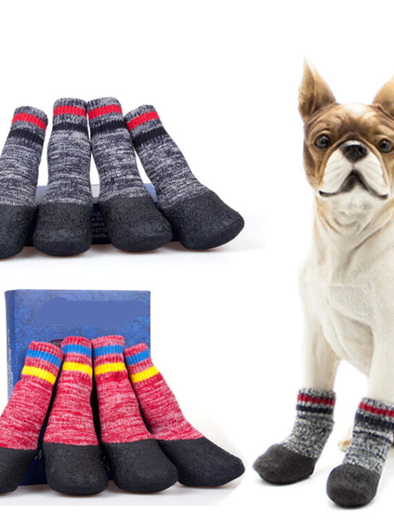 How To Keep Dogs Warm In Winter? Use DogMega's Socks