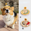 Knitted Sedge Hat For Dog To Travel