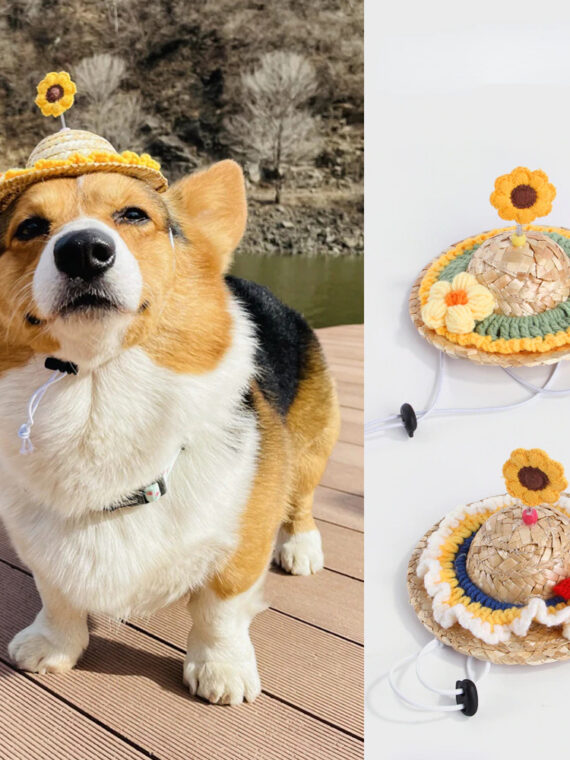 Knitted Sedge Hat For Dog To Travel
