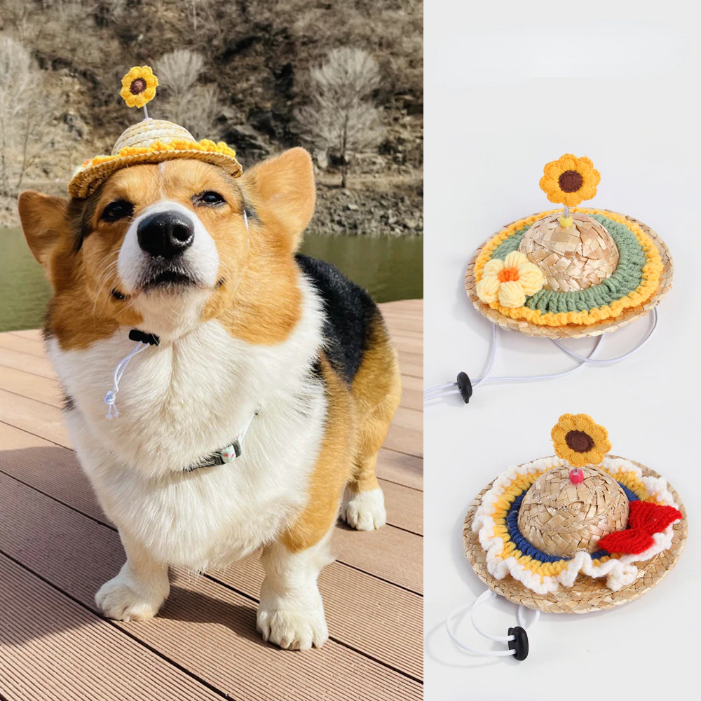 Knitted Sedge Hat For Dog To Travel