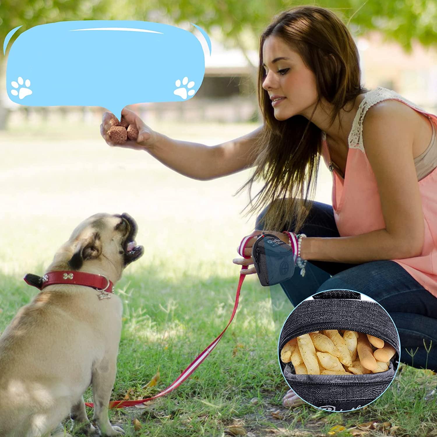 Pet Accessories – Portable Multi-function Bags For Dogs