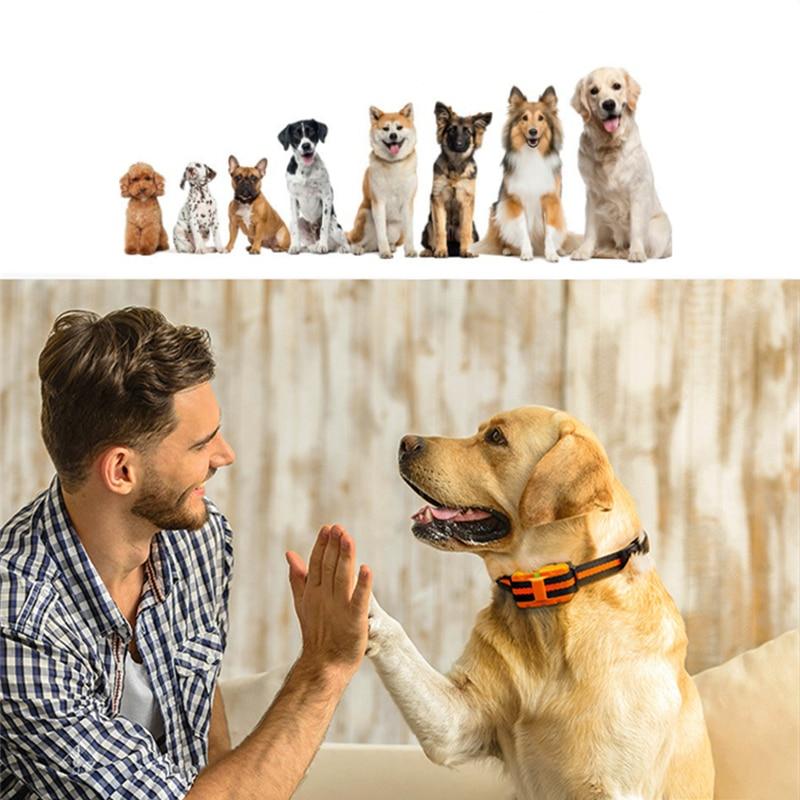 Waterproof Training Collar – Safety For Dog