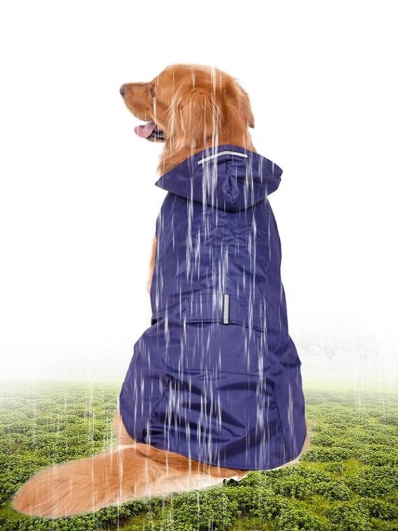 Convenient Raincoat To Keep Dogs Dry On Rainy Days