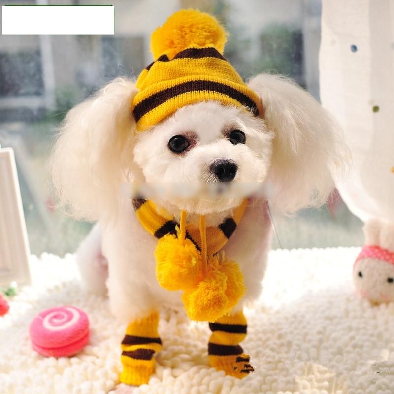 Winter Accessory Set For Dog – Knitted Hat, Scarf, And 4 Socks