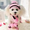 Winter Accessory Set For Dog - Knitted Hat, Scarf, And 4 Socks